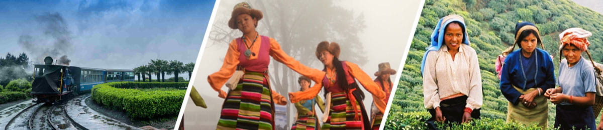 Culture & Traditions